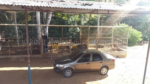 Imagen 24 de 24 de Angelica Nati Rent A House Finca En Venta Vallecito Tinaquillo Cojedes Cod 22m6016 Ar