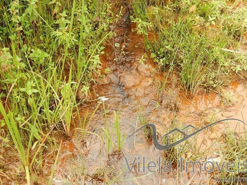 Imagem 10 de 13 de Sítio Em Catete - Paty Do Alferes - 505