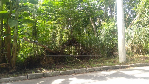 Imagem 5 de 6 de Tereno A Venda No Bairro Canasvieiras Em Florianopolis. - V-78154