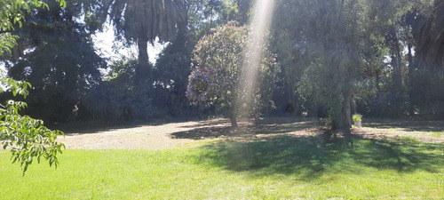 Venta De Parcela En Villa Alegre (172426)