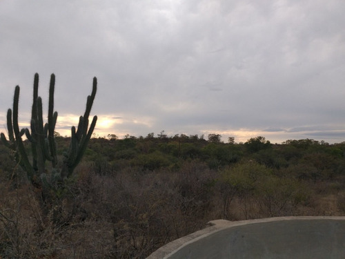 Imagen 4 de 5 de Vendo 380 Hectareas En Paso Viejo, Zona Cruz Del Eje