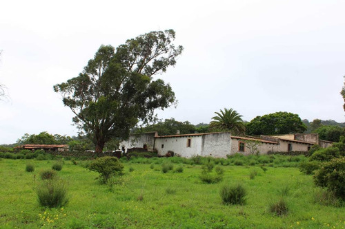 Imagen 3 de 14 de Rancho Ganadero En Venta En Nopala Hidalgo.