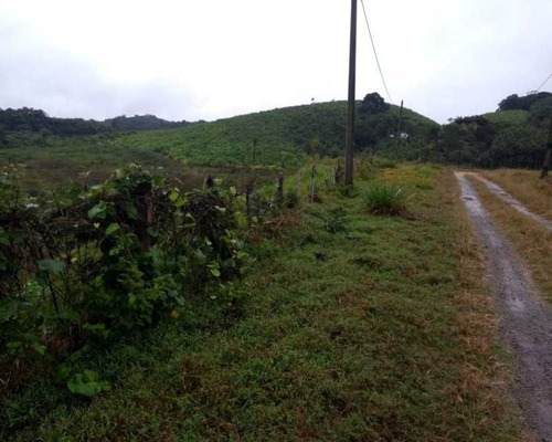 Imagem 28 de 30 de Fazenda - 0132 - 32820420