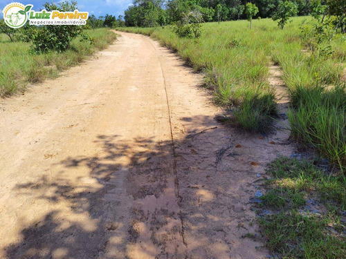 Imagem 8 de 10 de Fazenda À Venda Em Colinas - To - 498,53 Hectares (dupla Aptidão) - 2137