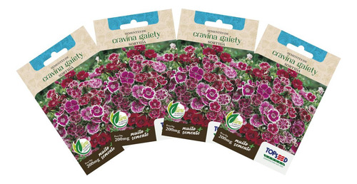 4x Sementes De Cravina Gaiety (sortida) Topseed