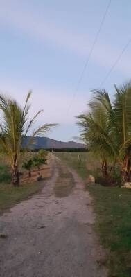 Imagen 11 de 14 de Finca En Venta En Montalban