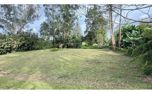 Lote En Parcelacion Llanogrande Smg