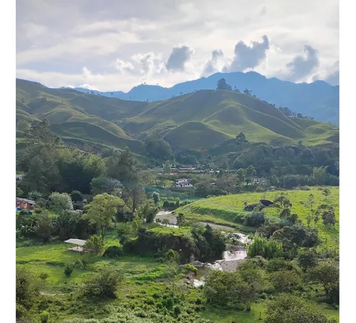 Lotes En Concepcion Planos Con Acceso Al Rio