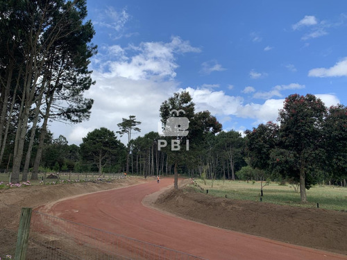 Lote En Las Hortensias, Punta Del Este - Ref : Pbi2739