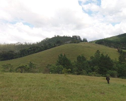 Imagem 21 de 30 de Fazenda Bem Localizada À Venda Em Juquitiba. - 15 - 32982853