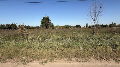 Imperdible Terreno En BabĂa De Los Lobos| Laguna De Lobos