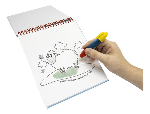 Livro De Pintura Mágica Com Água Fazenda Happy Book