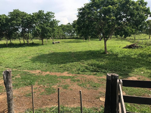 Imagem 16 de 16 de Excelente Oportunidade De Negócio - 22937