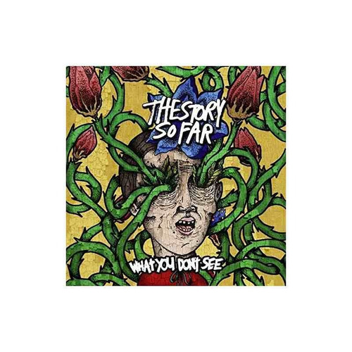 Story So Far What You Don't See Usa Import Cd Nuevo