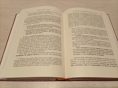 Libro. La Suplencia En El Derecho Procesal Familiar. Porrua (Usado)