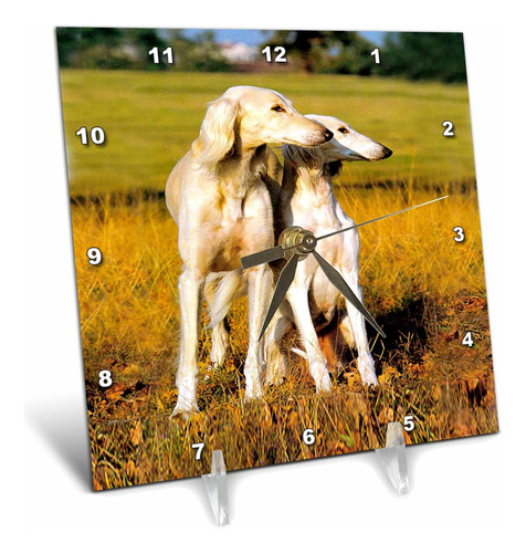 3drose Saluki Desk Clock, 6 Por 6 Pulgadas