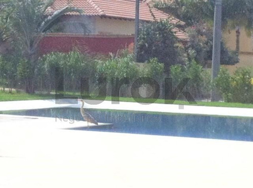 Imagem 12 de 30 de Casa À Venda Em Pinheiro - Ca002991