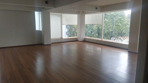 Imagen 1 de 11 de Se Renta Departamento En Polanco