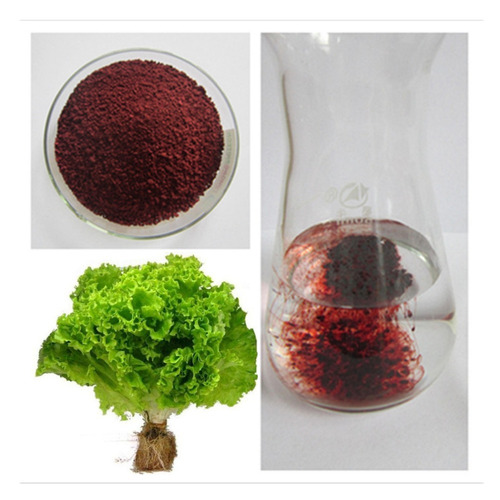 Sem Juros 800lt Nutrientes Completo Hidroponia Fertilizante