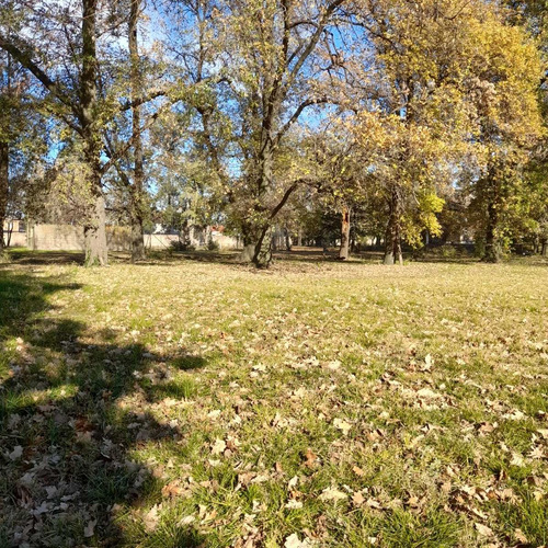 Imagen 2 de 13 de Terreno En Venta