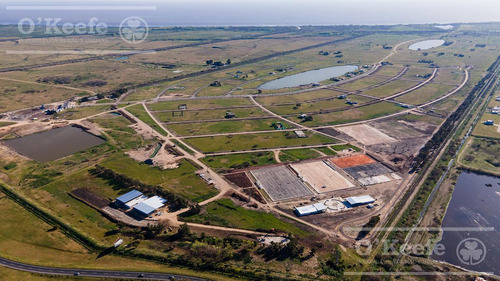 Lote En Venta En Puerto Nizuc - Oportunidad De Inversión En Guillermo Hudson