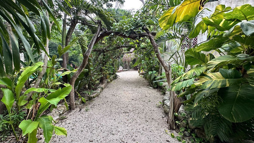 Terreno En Venta Tulum Centro, Huaya Camp