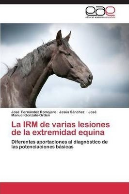 La Irm De Varias Lesiones De La Extremidad Equina - Sanch...