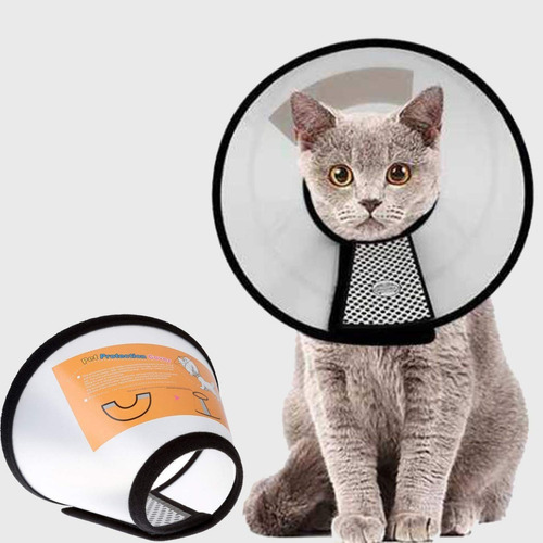 Collar Isabelino Para Mascota Talla 3, 4, 5, 6 Perro Y Gato