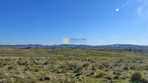 Imagen 7 de 20 de Venta De Campo De 80 Hectáreas Sobre Ruta 39