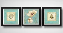 Comprar Set 3 Cuadros Flores Conchas Playa Nautico Baño - 33x33cm Marco Negro