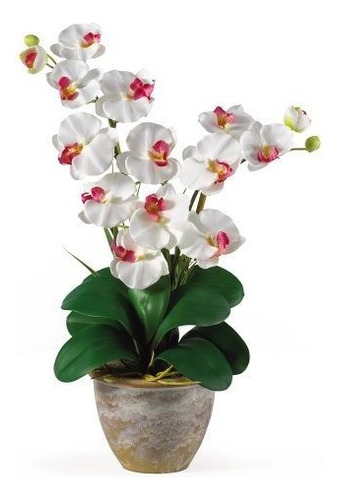 Arreglo De Orquídeas De Seda Phalaenopsis De Doble Tal...