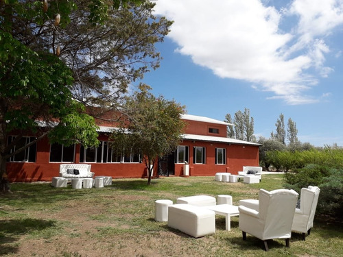 Imagen 2 de 7 de Bodega Con Casona, Coquimbito - Ruta Del Vino