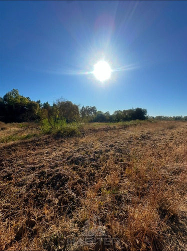 Parcela En Venta En Pelarco