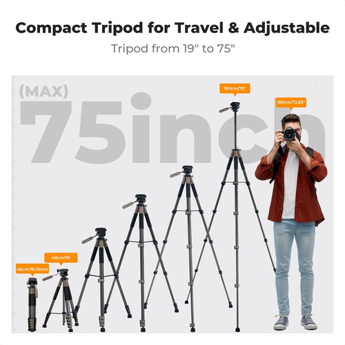 Trípode De Cámara Conceptual De K&f, 75 Trípodes De Dslr De