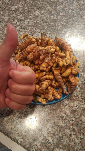 Hidroponia Lo Que Necesitas Para Hacer Crecer Tus Plantas