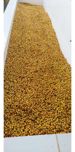 Venta Finca 14 Ha, Boconó Edo. Trujillo, Venezuela