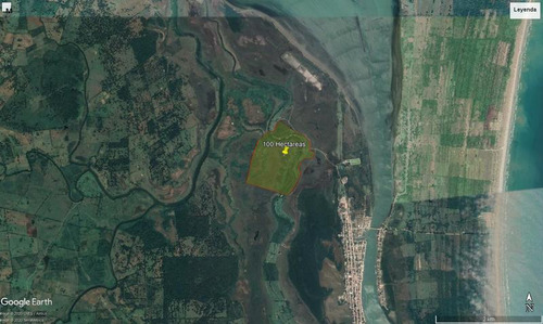 Venta Rancho Ganadero 100 Hectáreas Tamiahua Veracruz