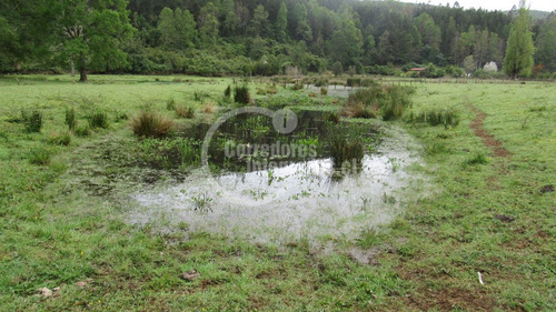 Parcela Con Luz Y Agua Y Acceso A Rio Cruces A 10 Min Ciudad
