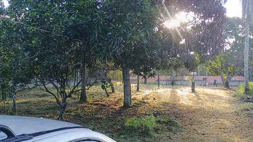 Sítio Em Aramari Próximo A Alagoinhas