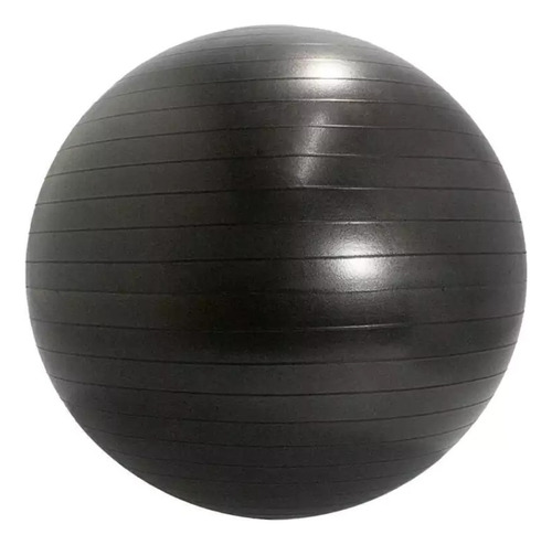 Pelota Esferodinamia 65 Cm Fitness Pilates Medicinal Yoga 