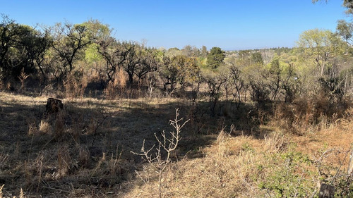 Excepcional Lote De Terreno En Ubicación Privilegiada De Villa General Belgrano