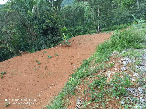 Chácara 5.400m2 Tucunduva Rua De Cima