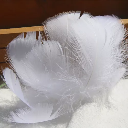 Plumas Blancas Para Manualidades