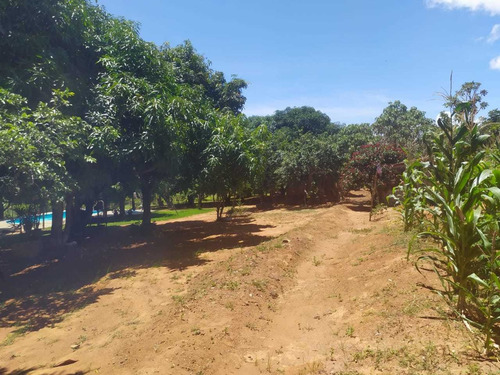 Vd Excelente Chacara 4.000m² -nova Petrópolis-planaltina-go