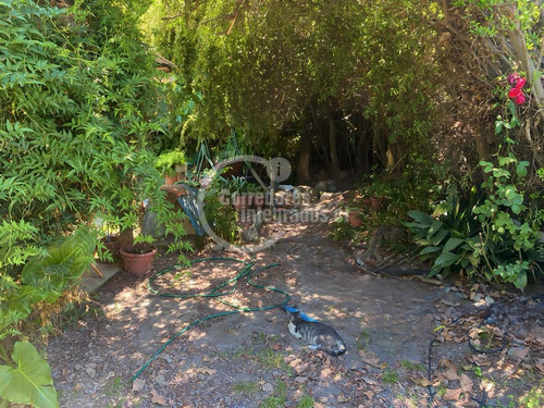 Casa En Venta De 4d En Terreno De 1.038 M2 En Requínoa