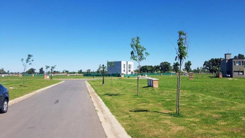 Imagen 5 de 6 de Terreno Interno - Santo Tomás