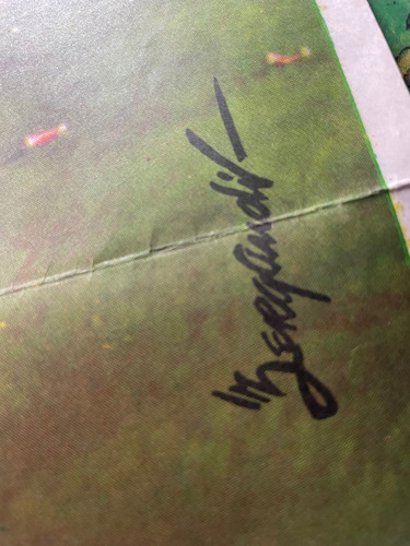 Serigrafía Ford Campeonato De Marcas 1976 Firmada Sergandil (Usado)