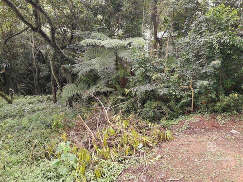 Imagem 5 de 8 de Terreno À Venda, 420 M² Por R$ 350.000,00 - Granja Viana - Carapicuíba/sp - Te0533
