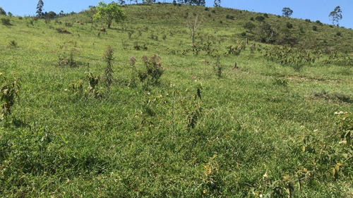 Imagem 4 de 6 de Yg04 - Lotes Imperdíveis Em Igaratá! 1000m² Conquiste Já!