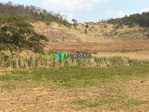 Imagem 13 de 15 de Fazenda - Zona Rural - Ref: 5241 - V-mta5241
